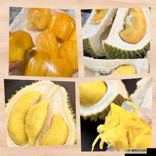 榴莲 APP 下载汅 api 免费下载:畅享便捷资源通道