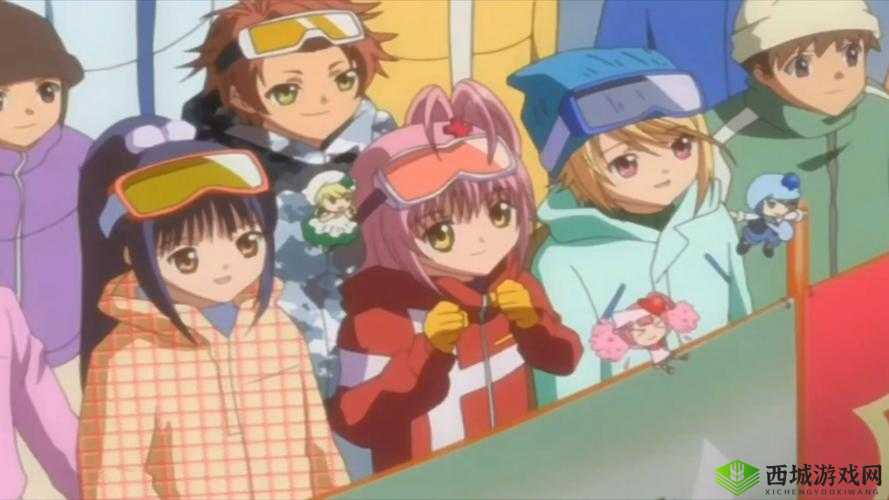 草帽团的传奇,梦想、友情与冒险的交织篇章