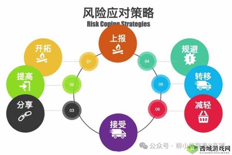 9.1 免费版高风险:潜在威胁及应对策略探讨