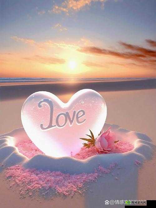 男人天堂新:一个充满魅力与惊喜的独特世界