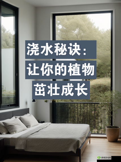 扣水的正确方法视频教程:让植物茁壮成长的必备指南