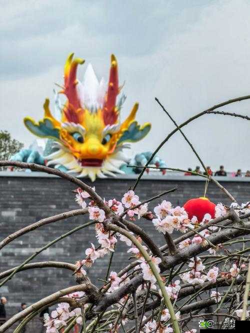 苏语棠闹元宵在线播放国栋:精彩呈现不容错过的元宵盛宴