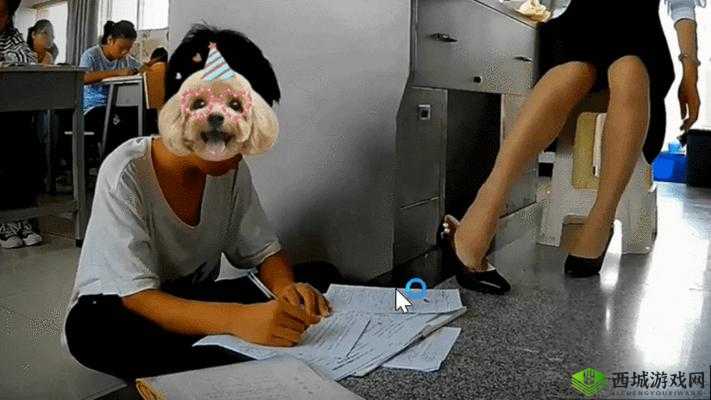 老师上课时竟让我们看这种视频:震惊