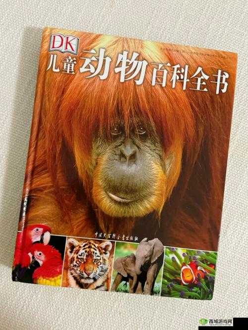 美国ZOOM 动物-欢迎您:探索神奇动物世界的精彩之旅