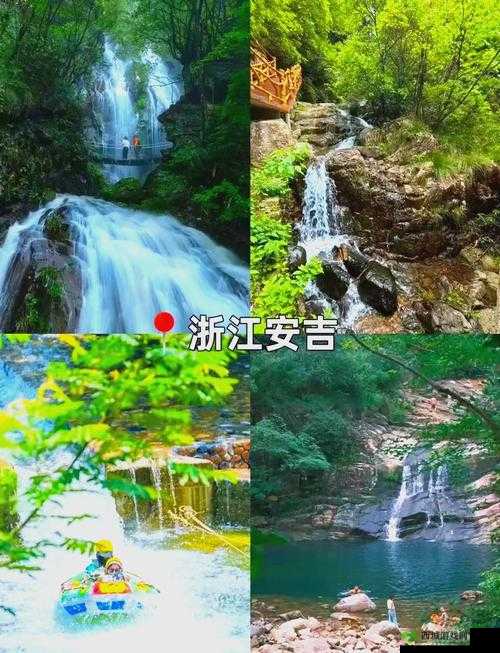 伊春园 2025 入口直达大象:带你开启奇幻之旅