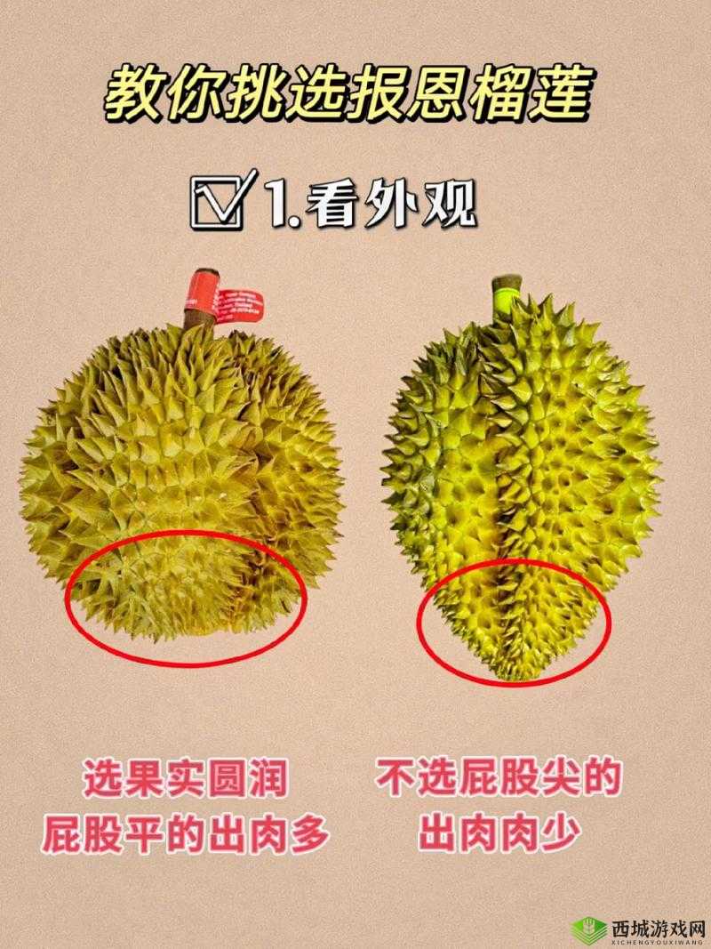 榴莲推广 APP 网站入口官网:让你轻松了解榴莲的一切信息平台