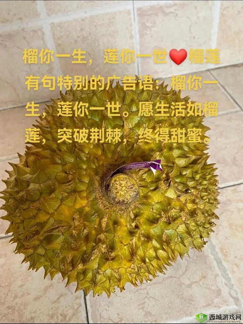 榴莲、香蕉、苹果、哈密瓜、水蜜桃的甜蜜组合,你尝过吗?