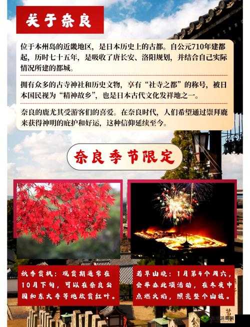 日本wwwsss:探索其背后的独特魅力与文化内涵