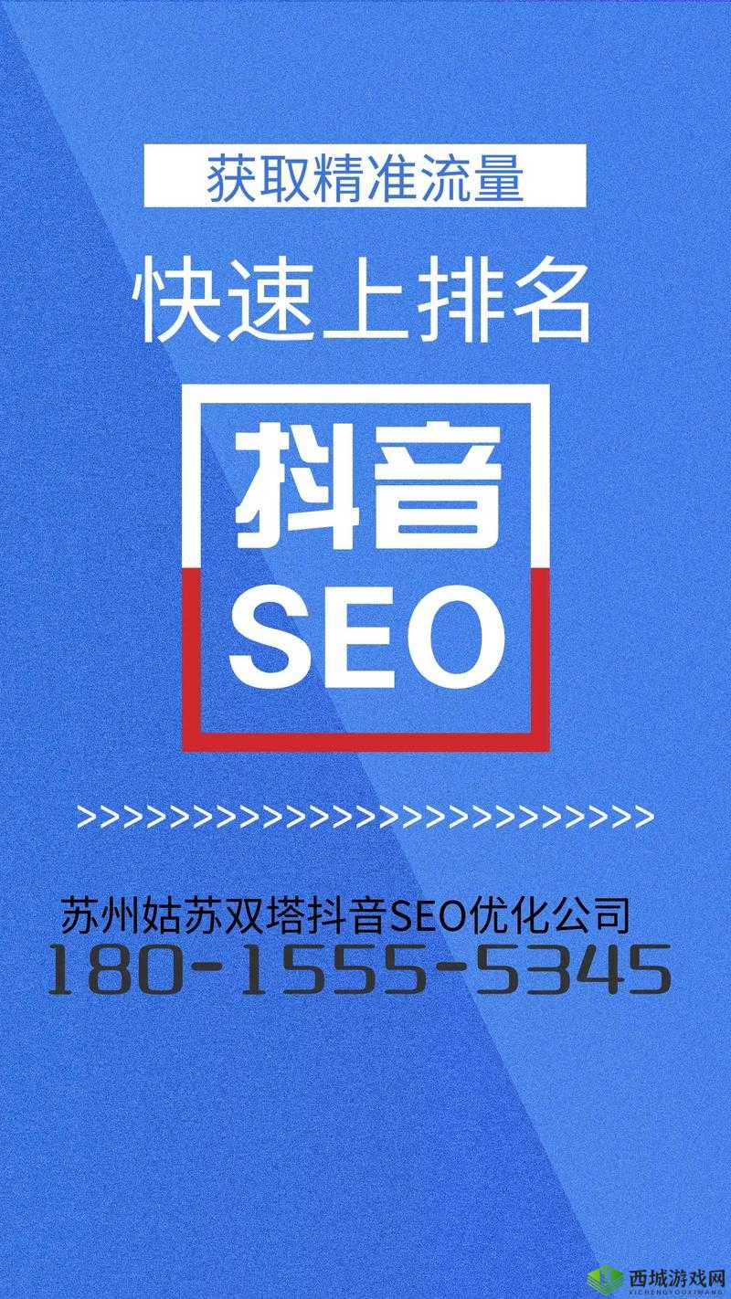 SEO 短视频网页入口:开启精彩视觉盛宴之旅