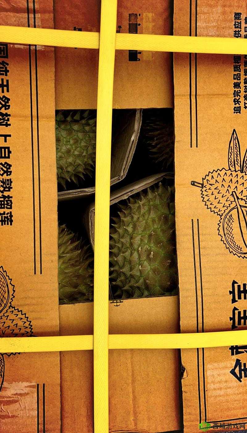 榴莲推广 app 网站入口:开启美味榴莲的奇妙之旅