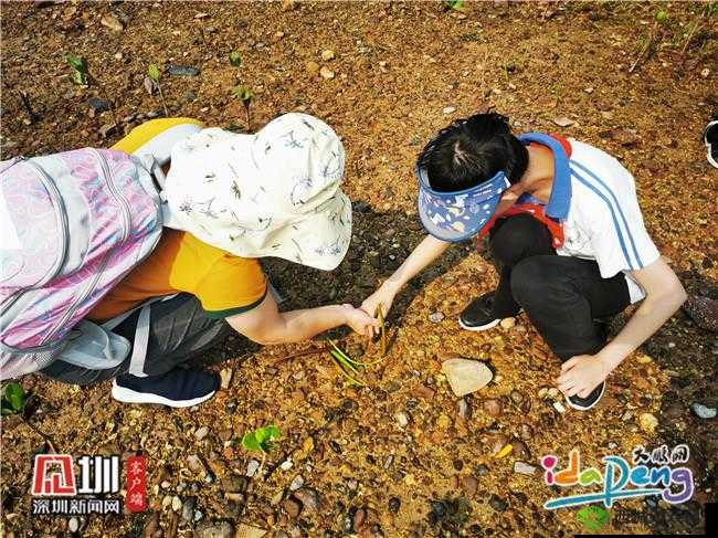 宝宝用点力,让我们一起探索奇妙的亲密体验