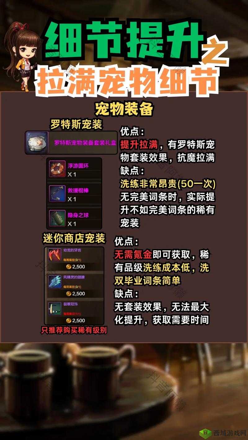 地下城与勇士,探索宠物与宠物装备的奇妙世界