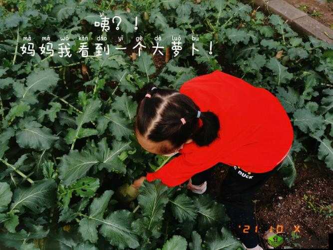 以后挤牛奶拔萝卜怎么拔之详细步骤与技巧解析