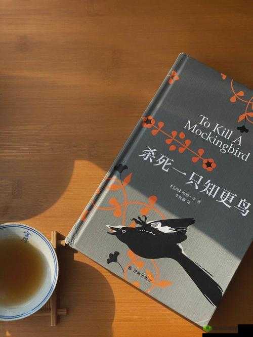 一本久 :带你领略独特视角下的精彩世界与深刻洞察