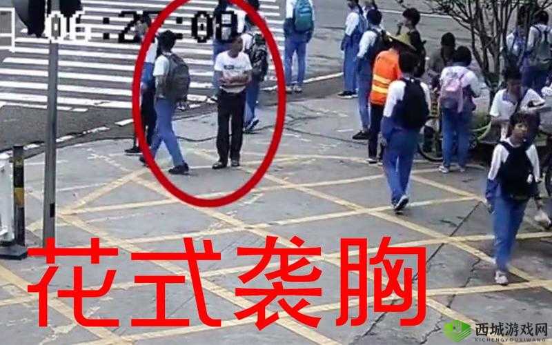 女学生遭遇猥琐男袭胸:课堂上的尴尬与反抗