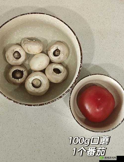 小森生活里的美味秘密,番茄炖肉配方揭秘