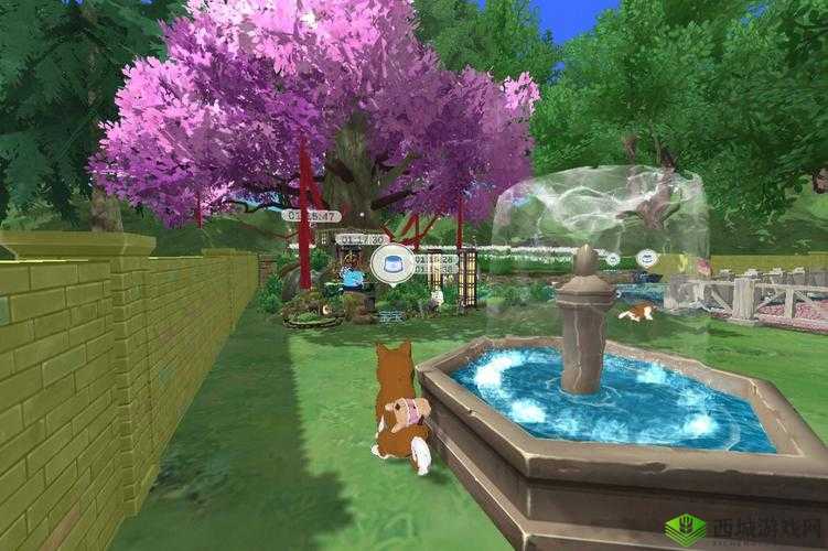 小森生活，揭秘神龛摆放的奇妙之旅