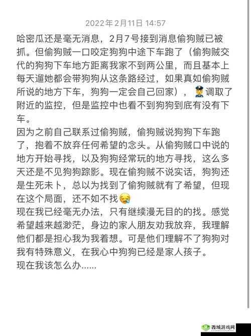 女狗任务表:完成主人交代的各项任务