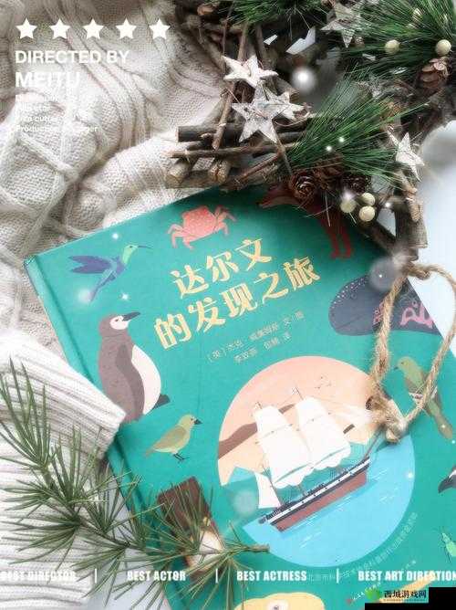 另类 88tit:独特魅力与无限可能的探索之旅