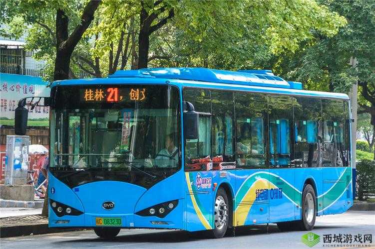 公交车 C 到高 C:带你领略城市道路上的独特风景