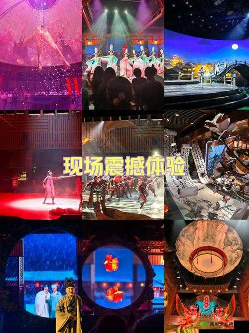 5G 在视影讯:畅享超高清视觉盛宴与震撼体验