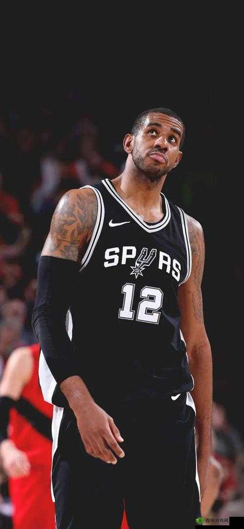 阿尔德里奇正式宣布退役,一段传奇的落幕