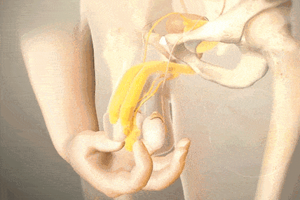 GAY 操逼小马拉大车:为何选择这样的伴侣关系?