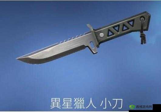 魔渊之刃猎人小刀,揭秘它的独特魅力与用途