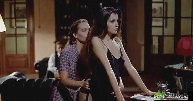 ❌❌❌❌性 B BBBB 欧美中文字幕:独特影视体验之佳作