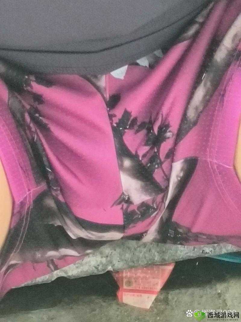 国产中国男男 GayGay 激情视频:探索同志之间的情感世界