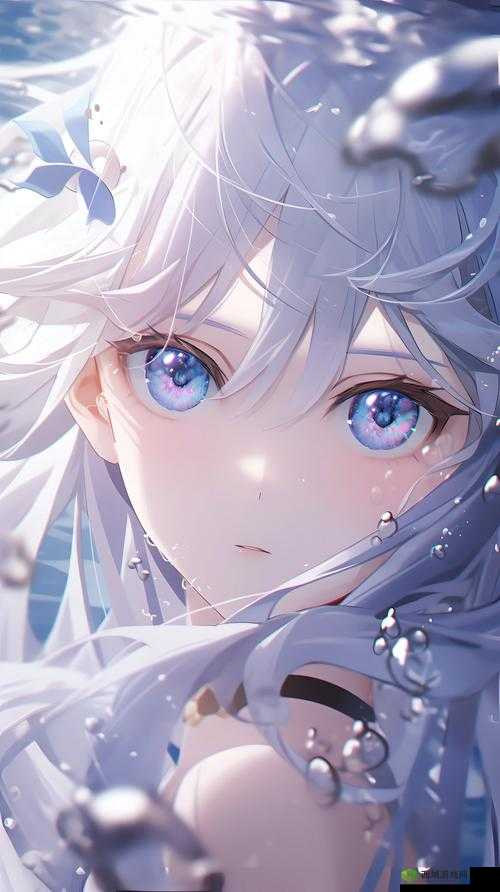 成全视频动漫免费高清，无广告，无病毒，无限制，尽享视觉盛宴