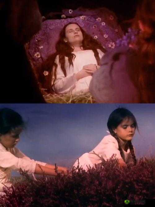 野花日本免费完整版高清版:畅享精彩影视盛宴