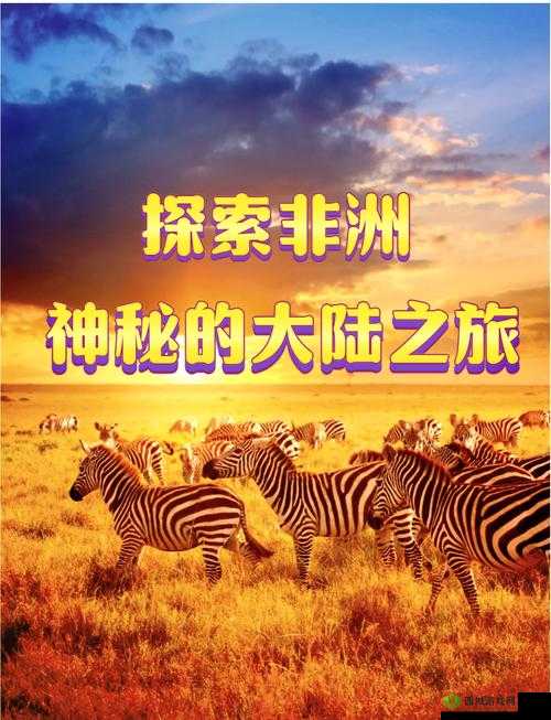 非洲 14may18 - xxxxxl56endian :探索神秘大陆的未知之旅