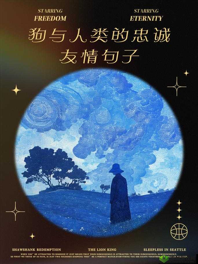 my5527 牢记永不失联:网络世界的忠诚伙伴