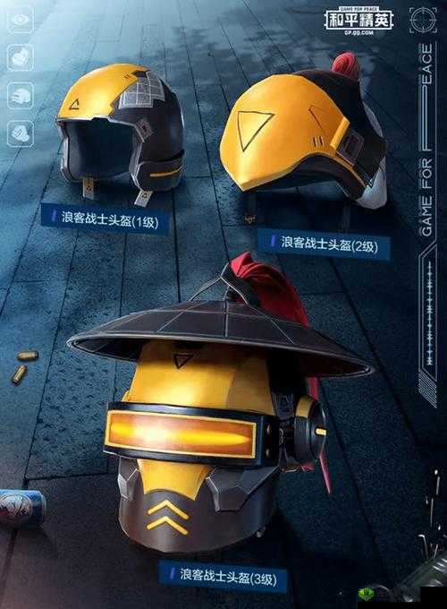 和平精英头盔新皮肤浪客战士介绍，资源管理、高效利用与价值最大化