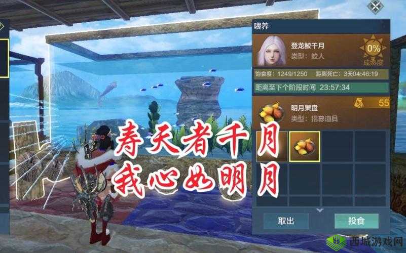 妄想山海明月果盘制作方式介绍及其在资源管理中的重要性