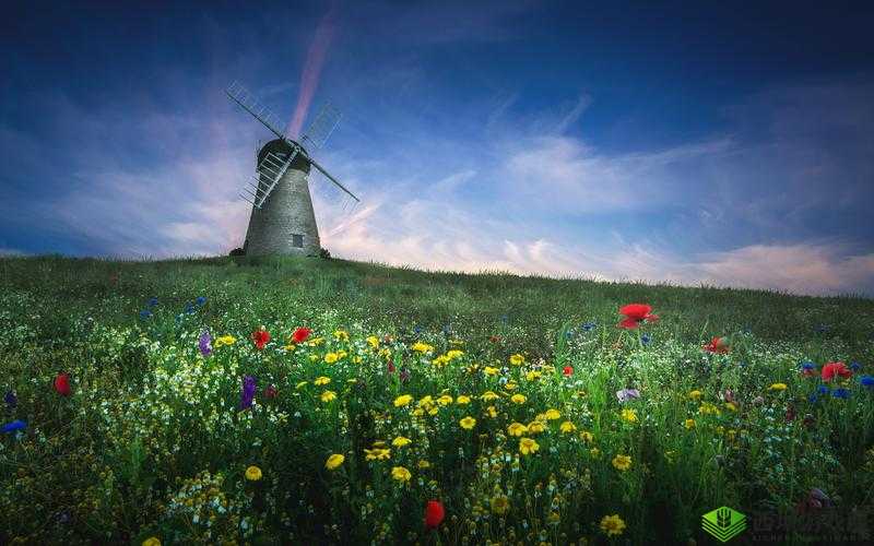 野花高清在线观看免费完整:畅享高清视觉盛宴无需付费