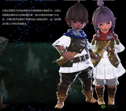 重生细胞沙漠之民装束,解锁神秘装扮的终极攻略