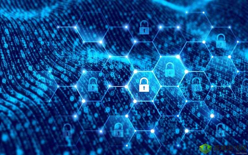 香肠视频加密通道:保障隐私安全的强大技术手段