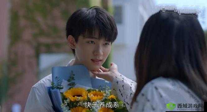 婚礼被全村:高 H 小敏的别样情感纠葛