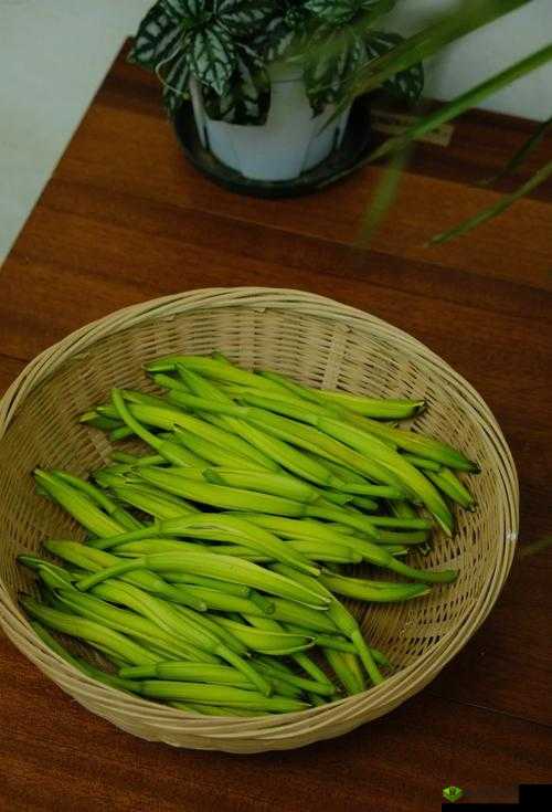 多汁的 omega 一盆黄花菜:美味与奇妙的邂逅