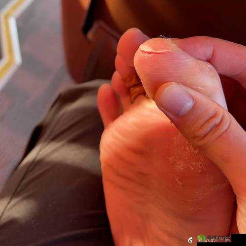 一个用羽毛划脚掌心的女人:极致的快感与痛苦的交织