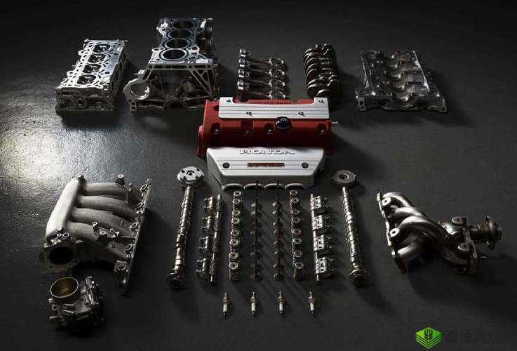 关于性别自由凸轮管的探讨:现状、挑战与未来发展方向