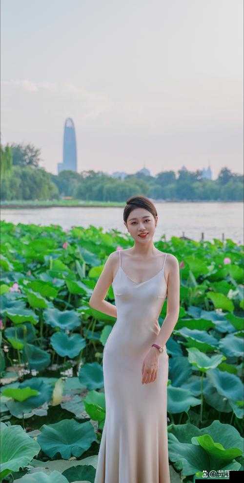 少妇搡搡搡:禁忌之爱