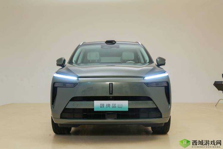 国产 SUV 精品一区二:品质之选,驾驶乐趣无限