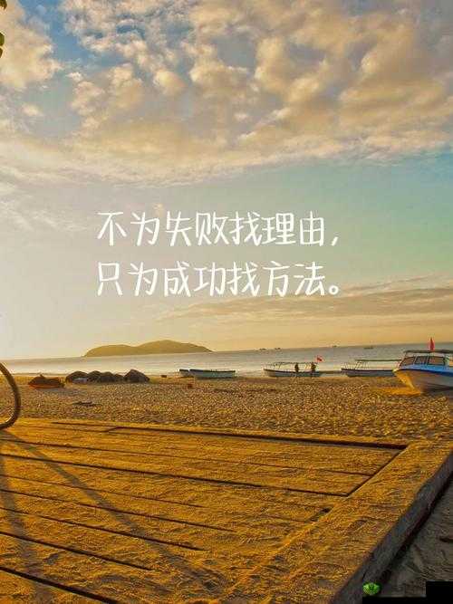 60 岁阿姨兼职月入 10 万+:背后的成功秘诀与励志故事