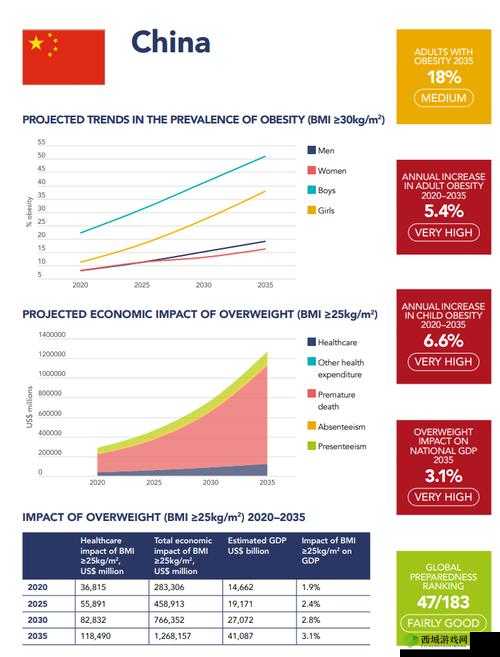 中国大肥胖 VPSWINDOWS:探索其背后的原因和影响