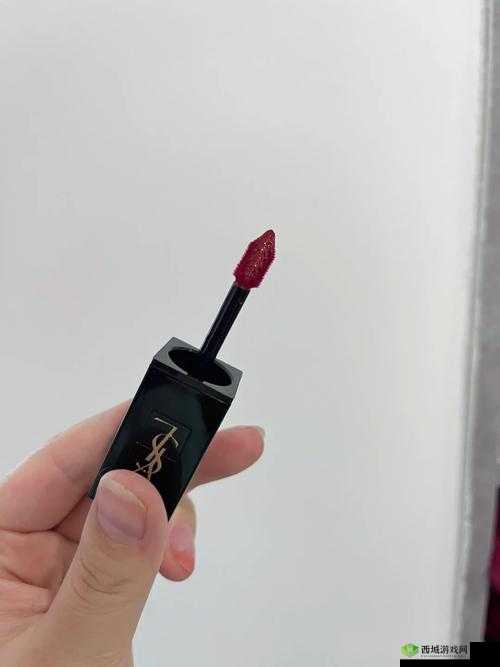 YSL 千色 T9T9T9 观看范围:全方位色彩体验与魅力探索