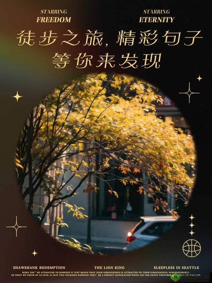 99 热最新:精彩内容持续不断等你来发现