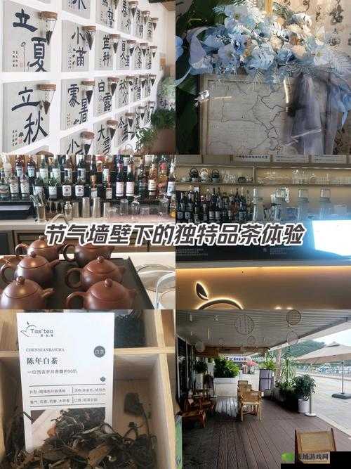 精品一品二品三品入口:呈现更多精彩内容与独特体验